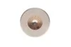<strong>Комплект клапанів BOSCH F00RJ01218 (фото 3)</strong>