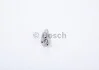 <strong>Розпилювач BOSCH F01G0V5000 (фото 2)</strong>