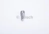 <strong>Розпилювач BOSCH F01G0V5000 (фото 4)</strong>