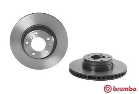 <strong>Гальмівний диск BREMBO 09.5875.11 (фото 1)</strong>