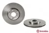 <strong>Диск гальмівний BREMBO 09.A601.10 (фото 2)</strong>