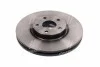 <strong>Гальмівний диск BREMBO 09.N255.21 (фото 4)</strong>