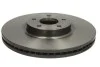 <strong>Гальмівний диск BREMBO 09.N256.21 (фото 1)</strong>