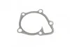 <strong>Помпа води Bugatti PA10149 (фото 8)</strong>