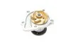 <strong>Помпа води Bugatti PA10262 (фото 3)</strong>