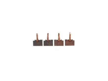 Щітка стартера для CARGO BSX216-2174 фото товару