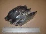 <strong>Колодки гальмові дискові передні Renault Megane III (08-) CHAMPION 573268CH (фото 2)</strong>