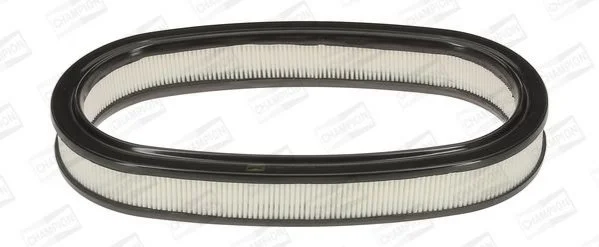 <strong>FORD Фильтр воздушный Escort,Fiesta 1.3/1.4 88- CHAMPION CAF100225R (фото 1)</strong>