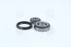 <strong>Підшипник маточини FORD TRANSIT передн. міст (Вир-во COMPLEX) COMPLEX AUTOMOTIVE BEARINGS Sp.z.o.o. CX031 (фото 1)</strong>