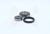 <strong>Підшипник маточини FORD TRANSIT передн. міст (Вир-во COMPLEX) COMPLEX AUTOMOTIVE BEARINGS Sp.z.o.o. CX031 (фото 4)</strong>