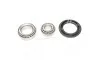 <strong>Підшипник маточини DAEWOO LANOS задн. міст (Вир-во COMPLEX) COMPLEX AUTOMOTIVE BEARINGS Sp.z.o.o. CX523 (фото 1)</strong>