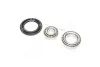 <strong>Підшипник маточини DAEWOO LANOS задн. міст (Вир-во COMPLEX) COMPLEX AUTOMOTIVE BEARINGS Sp.z.o.o. CX523 (фото 3)</strong>