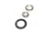 <strong>Підшипник маточини DAEWOO LANOS задн. міст (Вир-во COMPLEX) COMPLEX AUTOMOTIVE BEARINGS Sp.z.o.o. CX523 (фото 4)</strong>