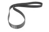 <strong>Доріжковий пас CONTITECH 11PK2020 (фото 1)</strong>