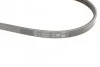 <strong>Пас поліклиновий Hyundai Elantra/ Matrix 1.8 01-10 CONTITECH 3PK670 (фото 3)</strong>