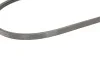 <strong>Клиновий ремінь CONTITECH 3PK870 (фото 4)</strong>