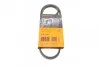 <strong>Ремінь поліклиновий Fiat Doblo 1,4i 05>13 ContiTech CONTITECH 3PK915 (фото 1)</strong>