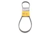 <strong>Пас поліклиновий ГУР Mazda 323 89-04 / Mitsubishi Pajero CONTITECH 4PK1000 (фото 1)</strong>