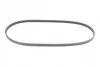 <strong>Пас поліклиновий ГУР Mazda 323 89-04 / Mitsubishi Pajero CONTITECH 4PK1000 (фото 4)</strong>