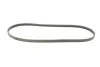<strong>Пас поліклиновий CONTITECH 4PK1020 (фото 2)</strong>