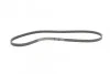 <strong>Пас поліклиновий Hyundai H-1 2.5 TD/CRDi 97-07/Nis CONTITECH 4PK1062 (фото 4)</strong>