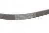 <strong>Пас поліклиновий Mitsubishi Pajero 2.5 TD 90-/ L 2 CONTITECH 4PK1125 (фото 3)</strong>
