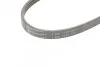 <strong>Пас поліклиновий Mitsubishi Pajero 2.5 TD 90-/ L 2 CONTITECH 4PK1125 (фото 4)</strong>