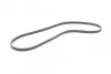 <strong>Пас поліклиновий Mitsubishi Pajero 2.5 TD 90-/ L 2 CONTITECH 4PK1125 (фото 5)</strong>
