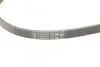 <strong>Ремінь поліклиновий Audi A4 A6 2,5d 02>05 ContiTech CONTITECH 4PK1217 (фото 3)</strong>