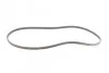 <strong>Поліклиновий ремінь CITROEN BX RENAULT MEGANE I, MEGANE I CLASSIC, MEGANE I COACH, MEGANE SCÉNIC 1.4/1.6/1.9 04.89-08.03 CONTITECH 4PK1272 (фото 5)</strong>