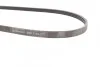 <strong>Ремінь поліклиновий Ford Focus III USA 2,0i 2,3i Ecoboost 13>18 ContiTech CONTITECH 4PK1360 (фото 2)</strong>