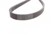 <strong>Пас поліклиновий Ford Transit 2.5Di/TD 91-00 CONTITECH 4PK1511 (фото 3)</strong>