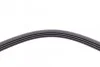 <strong>Пас поліклиновий Renault Clio/Kangoo 1.2 98- / Dacia CONTITECH 4PK1538 (фото 4)</strong>