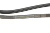 <strong>Пас поліклиновий CONTITECH 4PK1708 (фото 4)</strong>