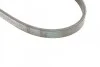 <strong>Пас поліклиновий Citroen Jumper 1.9TD 94-02 (ALT) CONTITECH 4PK698 (фото 3)</strong>