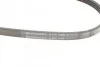 <strong>Пас поліклиновий Citroen Jumper 1.9TD 94-02 (ALT) CONTITECH 4PK698 (фото 4)</strong>