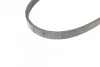 <strong>Пас поліклиновий Renault Kangoo 1.6i 08-/Toyota Prado CONTITECH 4PK725 (фото 3)</strong>