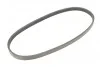 <strong>Пас поліклиновий Renault Kangoo 1.6i 08-/Toyota Prado CONTITECH 4PK725 (фото 5)</strong>