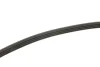 <strong>Поліклиновий ремінь CONTITECH 4PK770 (фото 3)</strong>