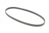 <strong>Пас поліклиновий Renault Laguna/Espace 3.5 02-/Hon CONTITECH 4PK775 (фото 5)</strong>