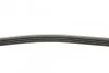 <strong>Пас поліклиновий Honda civic/CRX 1.4-1.6 16V 91-01 CONTITECH 4PK795 (фото 2)</strong>
