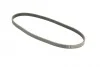<strong>Пас поліклиновий Honda civic/CRX 1.4-1.6 16V 91-01 CONTITECH 4PK795 (фото 5)</strong>