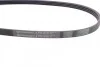 <strong>Ремінь поліклиновий Suzuki Swift 1,3i 05> ContiTech CONTITECH 4PK810 (фото 2)</strong>