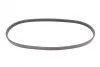 <strong>Ремінь поліклиновий Suzuki Swift 1,3i 05> ContiTech CONTITECH 4PK810 (фото 4)</strong>