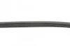 <strong>Пас поліклиновий CONTITECH 4PK820 (фото 2)</strong>