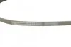 <strong>Пас поліклиновий Ford Escort/Fiesta 1.3 88-97 CONTITECH 4PK825 (фото 3)</strong>