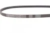 <strong>Ремень поликлиновой Conti CONTITECH 4PK830 (фото 2)</strong>