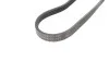 <strong>Поліклиновий ремінь CONTITECH 4PK844ELAST (фото 2)</strong>
