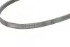 <strong>Пас поліклиновий Honda Civic/Nissan Primera CONTITECH 4PK845 (фото 3)</strong>