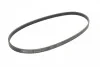 <strong>Пас поліклиновий Honda Civic/Nissan Primera CONTITECH 4PK845 (фото 4)</strong>